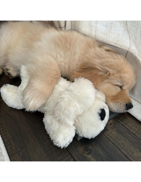 Snuggle Puppy Junior Juguete para Perros - Alivio Ansiedad Snuggle Puppy Junior Juguete para Perros - Alivio Ansiedad