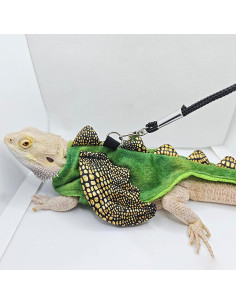 Conjunto Arnés y Correa Dragón Barbudo ADOGGYGO Pequeño 2