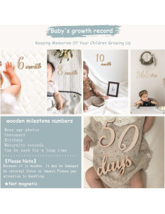 Set de 19 Números de Hitos de Madera Promise Babe 2