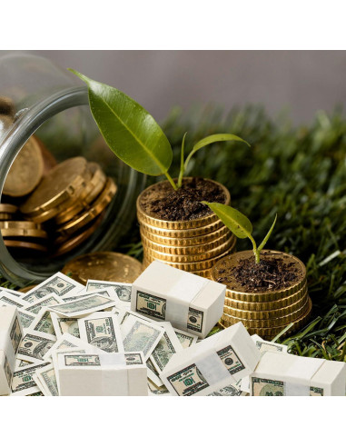 300 Piezas Billetes Falsos Miniatura 100 Dólares Decoración