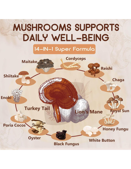 Suplemento de Hongos 14-en-1 Nature Target, 120 Cápsulas Suplemento de Hongos 14-en-1 Nature Target, 120 Cápsulas