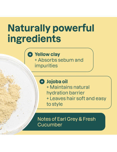 Champú Sólido Aclarador ATTITUDE 113.4g Vegano Earl Grey