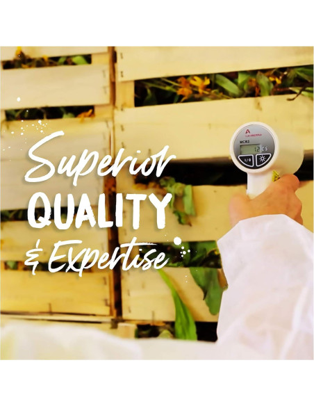 Boiron Arnica Montana 12C Homeopatía para Dolor Muscular - 3 Paquetes