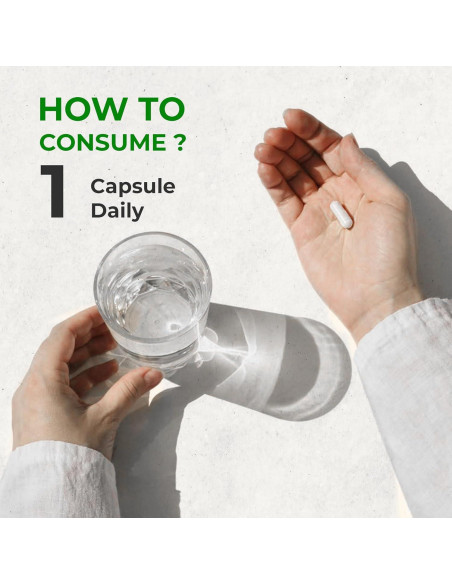 Cápsulas de Banaba FRESHDRINKUS 250 Unidades 350mg Veganas Cápsulas de Banaba FRESHDRINKUS 250 Unidades 350mg Veganas