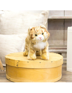 Gato Maine Coon Grande DEMDACO Juguete de Peluche 29 cm 2