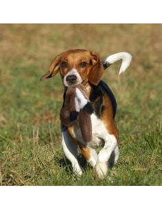 Set de Juguetes para Perros Sin Relleno PDTO - Mapache y Ardilla 40 cm 2