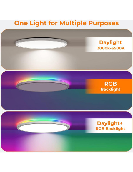 Luz de Techo LED RGB Annaror 30,48 cm Regulable 24W Luz de Techo LED RGB Annaror 30,48 cm Regulable 24W