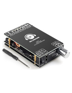 Placa Amplificadora Bluetooth DAJUNGUO 1002S 100W Doble Chip