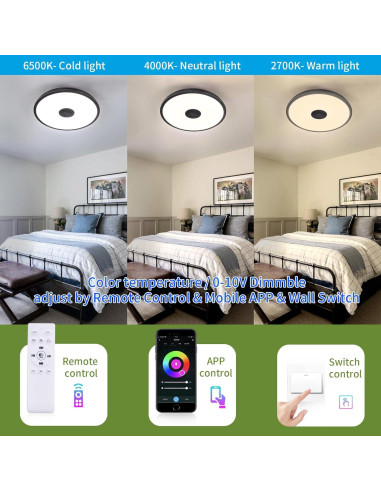 Lámpara de Techo LED ASALL 18W con Altavoz Bluetooth RGB