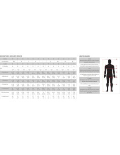 Chaqueta de Moto Alpinestars T-GP Plus R V4 Airflow 2X 2