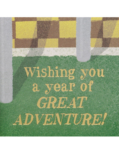 Tarjeta Pop Up Cumpleaños Harry Potter Quidditch 13.65x20.96cm