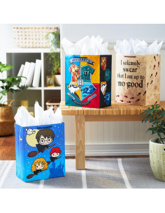 Bolsa de Regalo Grande Hallmark Harry Potter 3 Diseños 2