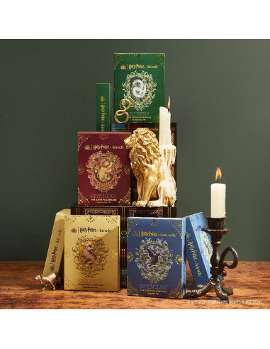 Funda de Sábana Satén Kitsch Harry Potter Gryffindor 66x48cm