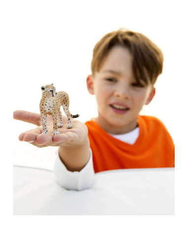 Figura Guepardo Femenino Schleich 9.91x9.91 cm 3 a 8 años