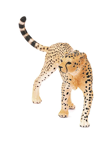 Figura Guepardo Femenino Schleich 9.91x9.91 cm 3 a 8 años