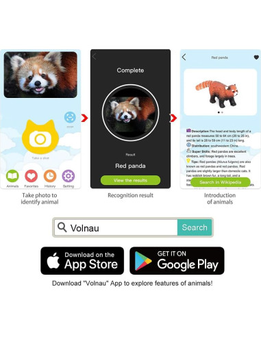 Set de 9 Figuras de Animales de la Selva Volnau - Educativas