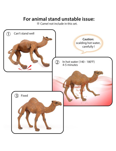 Figuras de Animales Volnau 7PCS América del Norte Educativas