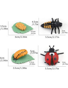 Modelo Ciclo de Vida de Mariquita Luoxun con 4 Figuras 2