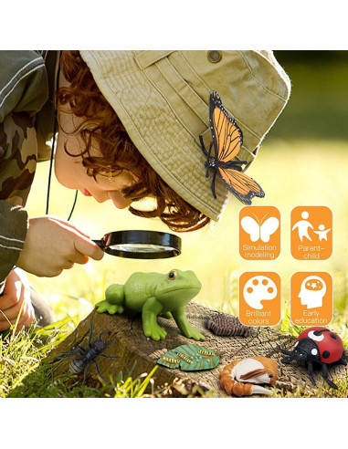 Modelo Ciclo de Vida de Mariquita Luoxun con 4 Figuras