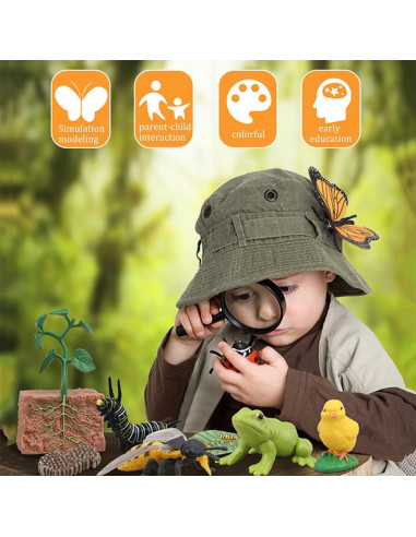 Modelo Ciclo de Vida de Mariquita Luoxun con 4 Figuras