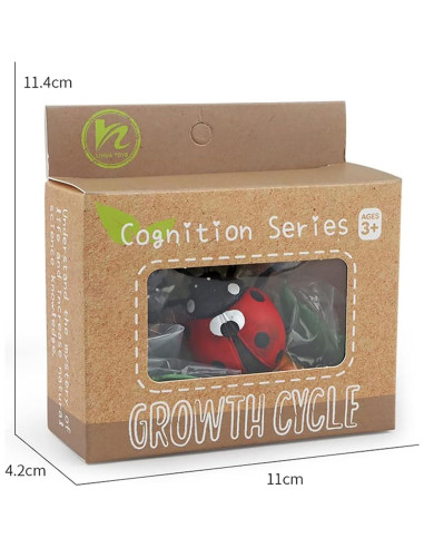 Modelo Ciclo de Vida de Mariquita Luoxun con 4 Figuras