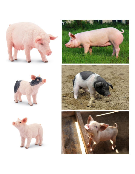 Figuras de Animales Toymany 16PCS Selva y Granja