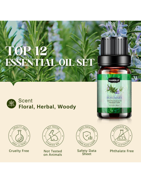 Juego de Aceites Esenciales 12x5ml Hanolly - Aromaterapia