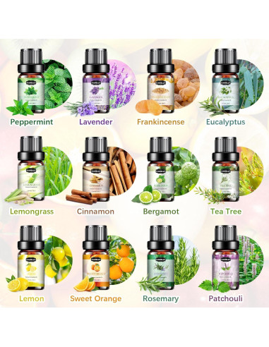 Juego de Aceites Esenciales 12x5ml Hanolly - Aromaterapia