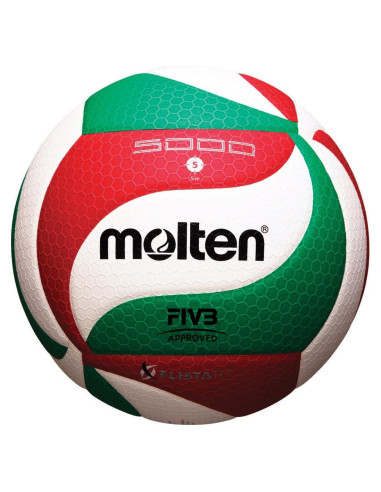 Balón de Voleibol Molten V5M5000 Microfibra Oficial
