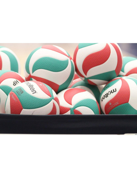 Balón de Voleibol Molten V5M5000 Microfibra Oficial
