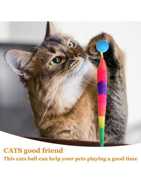 Juguete para Gato SHENGSEN - 5 Gusanos Coloridos Interactivos