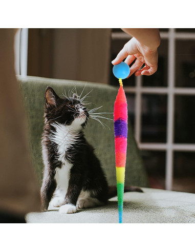 Juguete para Gato SHENGSEN - 5 Gusanos Coloridos Interactivos