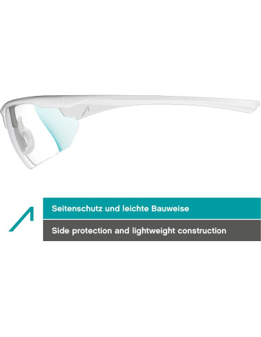Gafas de seguridad ACE Evo - Antiempañante - Laboratorio
