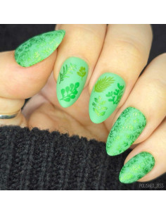 Placa de Estampado de Uñas Maniology M511 - Flores de Invierno 2