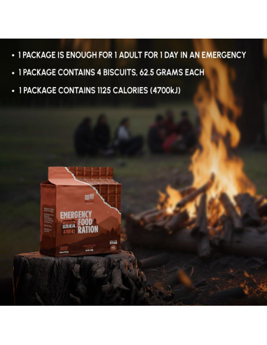 Galletas Energéticas de Chocolate Beleon - Ración de 1 Día 250g