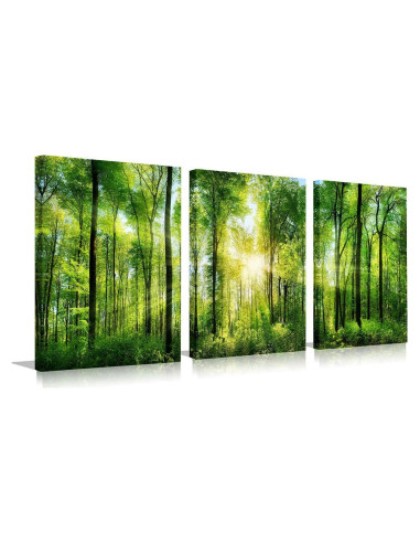 Arte de Pared Lienzo Bosque Verde 3 Paneles 30x40cm