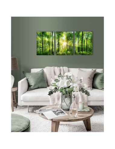Arte de Pared Lienzo Bosque Verde 3 Paneles 30x40cm