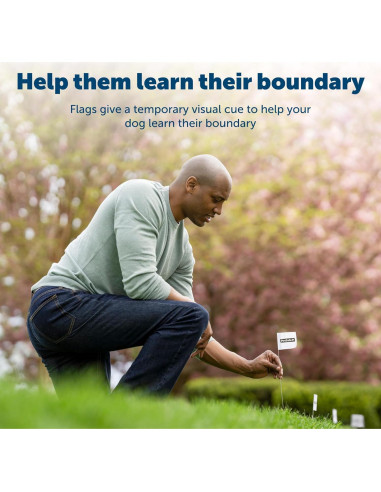 Banderas de Límite PetSafe 50 Unidades para Cercas