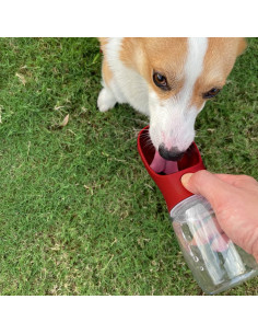 Botella de Agua para Perros WePet 350 ml a Prueba de Fugas 2