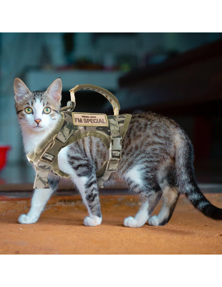 Arnés Táctico Ajustable AIWAI para Gato Grande Camuflaje