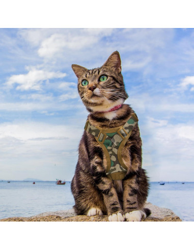 Arnés Táctico Ajustable AIWAI para Gato Grande Camuflaje