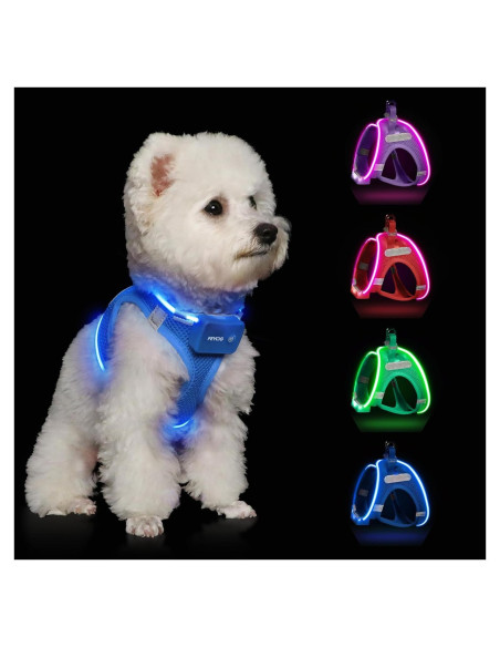 Arnés LED Recargable para Perros Feycig Azul Cielo Tamaño S