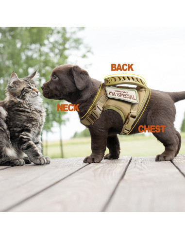 Arnés Táctico Ajustable AIWAI para Gato Grande Camuflaje