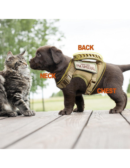 Arnés Táctico Ajustable AIWAI para Gato Grande Camuflaje