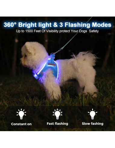 Arnés LED Recargable para Perros Feycig Azul Cielo Tamaño S