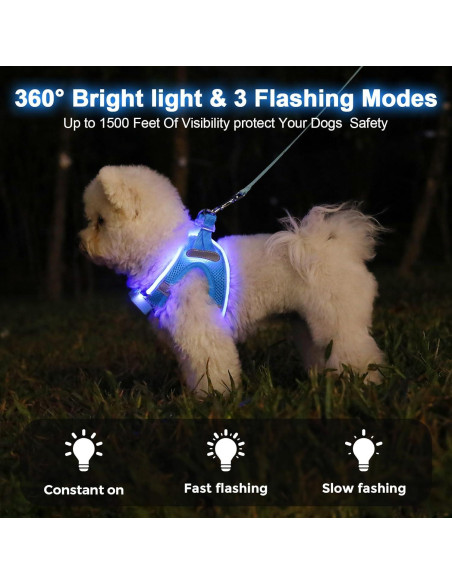 Arnés LED Recargable para Perros Feycig Azul Cielo Tamaño S
