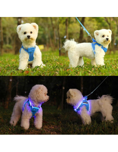 Arnés LED Recargable para Perros Feycig Azul Cielo Tamaño S