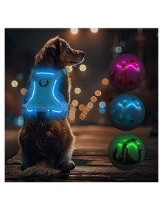 Arnés Iluminado para Perros Feycig Ajustable Azul S