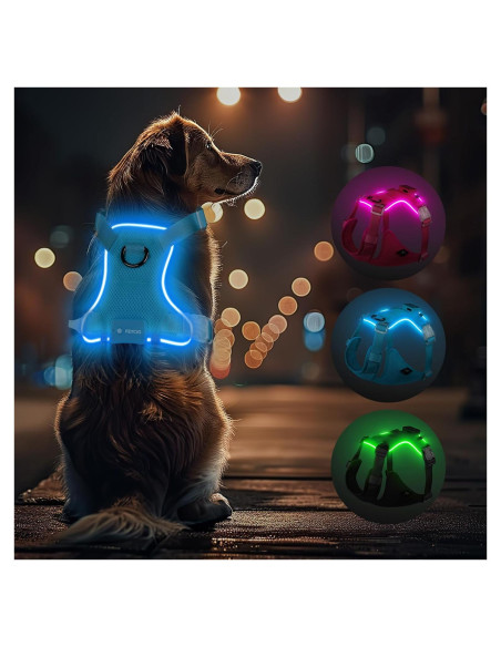 Arnés Iluminado para Perros Feycig Ajustable Azul S