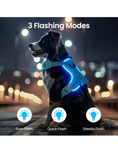 Arnés Iluminado para Perros Feycig Ajustable Azul S